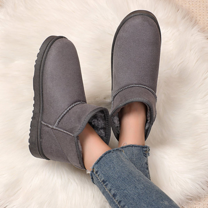 Winter enkellaarsjes voor dames in suède met bontvoering - Lety