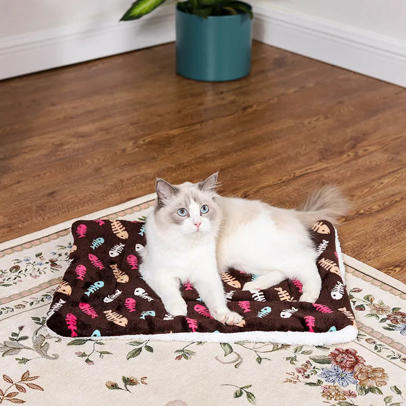 Dikke winterdeken voor katten