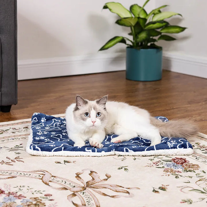 Dikke winterdeken voor katten